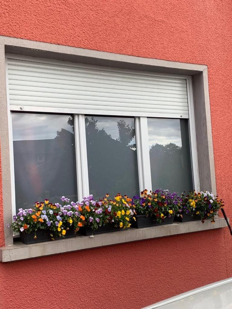 Couleur Framboise Apartment Longwy Exterior photo